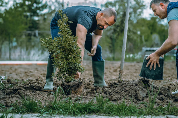  Lewistown, PA Tree Service Pros